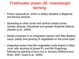 Aquaculture production systems in intertidal areas of Bangladesh: A review
