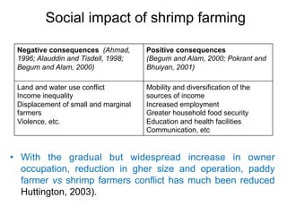 Aquaculture production systems in intertidal areas of Bangladesh: A review