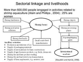 Aquaculture production systems in intertidal areas of Bangladesh: A review