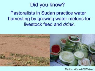 Integrating the unusual (livestock and ???)