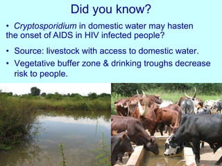 Integrating the unusual (livestock and ???)