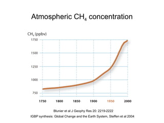 Atmospheric CH 4  concentration IGBP synthesis: Global Change and the Earth System, Steffen et al 2004 Blunier et al J Geophy Res 20: 2219-2222 