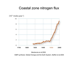 Coastal zone nitrogen flux IGBP synthesis: Global Change and the Earth System, Steffen et al 2004 Mackenzie et al 2002. 