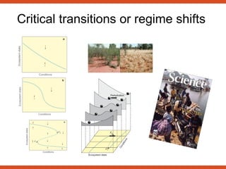 Critical transitions or regime shifts 