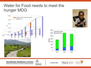 Water for Food needs to meet the hunger MDG 