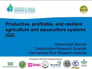 Productive, profitable, and resilient
agriculture and aquaculture systems
(G2)
Manoranjan Mondal
Collaborative Research Scientist
International Rice Research Institute
Presented in AAS Hub Scoping at Khulna
 
