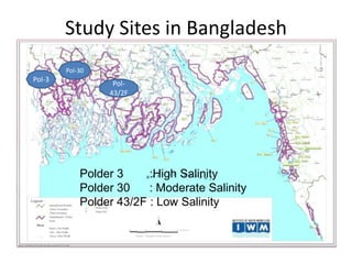 Study Sites in Bangladesh
Pol-
43/2F
Pol-30
Polder 3 :High Salinity
Polder 30 : Moderate Salinity
Polder 43/2F : Low Salinity
Pol-3
 