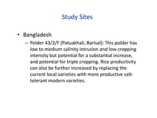 Study Sites
• Bangladesh
– Polder 43/2/F (Patuakhali, Barisal): This polder has
low to medium salinity intrusion and low cropping
intensity but potential for a substantial increase,
and potential for triple cropping. Rice productivity
can also be further increased by replacing the
current local varieties with more productive salt-
tolerant modern varieties.
 
