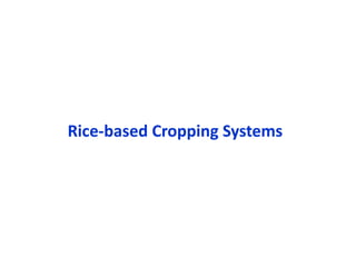 Rice-based Cropping Systems
 