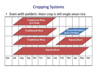 Cropping Systems
• Even with polders: Main crop is still single aman rice
Jun Jul Aug Sep Oct Nov Dec Jan Feb Mar Apr May Jun
Traditional Rice
Sesame/Mungbean
(0.5-1.0 t/ha)
Traditional Rice
Aquaculture
Traditional Rice
(2-3 t/ha)
Aquaculture
 