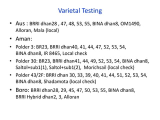 Varietal Testing
• Aus : BRRI dhan28 , 47, 48, 53, 55, BINA dhan8, OM1490,
Alloran, Mala (local)
• Aman:
• Polder 3: BR23, BRRI dhan40, 41, 44, 47, 52, 53, 54,
BINA dhan8, IR 8465, Local check
• Polder 30: BR23, BRRI dhan41, 44, 49, 52, 53, 54, BINA dhan8,
Saltol+sub1(1), Saltol+sub1(2), Morichsail (local check)
• Polder 43/2F: BRRI dhan 30, 33, 39, 40, 41, 44, 51, 52, 53, 54,
BINA dhan8, Shadamota (local check)
• Boro: BRRI dhan28, 29, 45, 47, 50, 53, 55, BINA dhan8,
BRRI Hybrid dhan2, 3, Alloran
 
