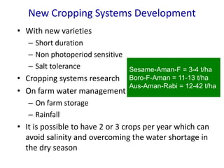 New Cropping Systems Development
• With new varieties
– Short duration
– Non photoperiod sensitive
– Salt tolerance
• Cropping systems research
• On farm water management
– On farm storage
– Rainfall
• It is possible to have 2 or 3 crops per year which can
avoid salinity and overcoming the water shortage in
the dry season
Sesame-Aman-F = 3-4 t/ha
Boro-F-Aman = 11-13 t/ha
Aus-Aman-Rabi = 12-42 t/ha
 