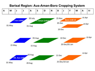A M J J A S O N D J F M A M
Barisal Region: Aus-Aman-Boro Cropping System
20 Dec
01 May
20 July
01 Aug
25 Nov 05 Apr
Boro (140 d)
05 Dec
T. Aman (145d)T. Aus (100d)
20 Apr
15 May
05 Aug
15 Aug
10 Dec 20 Apr
20 Dec/05 Jan
01 May
10 Aug
20 Aug
15 Dec
10 Apr
25 Dec/10 Jan
DS. Aus (100d)
 