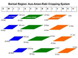10 Apr
30 June
10 July
15 Nov 1 Apr
Rabi (120 d)
1 Dec
T. Aman (145d)T. Aus (100d)
A M J J A S O N D J F M A M
Barisal Region: Aus-Aman-Rabi Cropping System
10 Apr
30 June
10 July
15 Nov 15 Apr
15 Dec
10 May
30 July
10 Aug
15 Dec
2 5 Apr
25 Dec
30 May
20 Aug
30 Aug
5 Jan 15 May
15 Jan
 