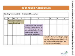 Productive,Profitable,andResilientAgricultureandAquacultureSystems(G2)
Year-round Aquaculture
Stocking Treatment: S2 = Rotational Monoculture
J F M A M J J A S O N D
Penaeus monodon
3/sqm (early Feb)
Oreochromis spp. -4/sqm
(nursing will be started at
late May and after shrimp
harvesting it will be
released in the GHER)
Macrobrachium_rosenbergii -3/sqm
(nursing will be started at early July
and after Tilapia harvesting it will
be released in the GHER)
 