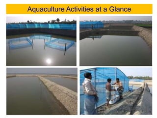Aquaculture Activities at a Glance
 