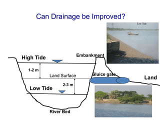 High Tide
Low Tide
LandLand Surface
Embankment
River Bed
Sluice gate
1-2 m
Can Drainage be Improved?
2-3 m
 