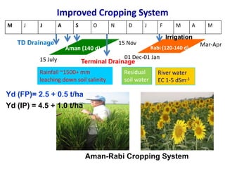 Improved Cropping System
15 July
15 Nov Mar-Apr
Rabi (120-140 d)
01 Dec-01 Jan
Aman (140 d)
M J J A S O N D J F M A M
Rainfall ~1500+ mm
leaching down soil salinity
River water
EC 1-5 dSm-1
Aman-Rabi Cropping System
Residual
soil water
Terminal Drainage
TD Drainage
Yd (FP)= 2.5 + 0.5 t/ha
Yd (IP) = 4.5 + 1.0 t/ha
Irrigation
 