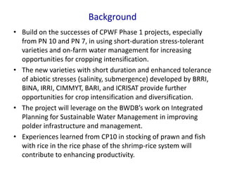 Background
• Build on the successes of CPWF Phase 1 projects, especially
from PN 10 and PN 7, in using short-duration stress-tolerant
varieties and on-farm water management for increasing
opportunities for cropping intensification.
• The new varieties with short duration and enhanced tolerance
of abiotic stresses (salinity, submergence) developed by BRRI,
BINA, IRRI, CIMMYT, BARI, and ICRISAT provide further
opportunities for crop intensification and diversification.
• The project will leverage on the BWDB’s work on Integrated
Planning for Sustainable Water Management in improving
polder infrastructure and management.
• Experiences learned from CP10 in stocking of prawn and fish
with rice in the rice phase of the shrimp-rice system will
contribute to enhancing productivity.
 