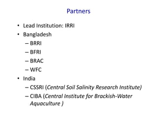 Partners
• Lead Institution: IRRI
• Bangladesh
– BRRI
– BFRI
– BRAC
– WFC
• India
– CSSRI (Central Soil Salinity Research Institute)
– CIBA (Central Institute for Brackish-Water
Aquaculture )
 