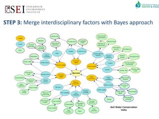 STEP 3: Merge interdisciplinary factors with Bayes approach 
 