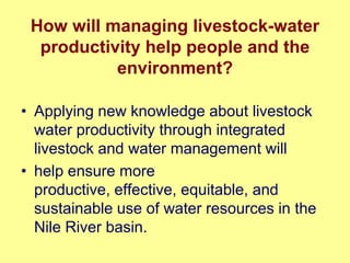 Nile Basin water productivity: Developing a shared vision for livestock production