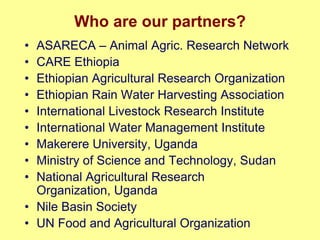 Nile Basin water productivity: Developing a shared vision for livestock production