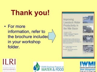 Nile Basin water productivity: Developing a shared vision for livestock production