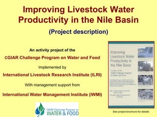 Nile Basin water productivity: Developing a shared vision for livestock production