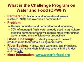 Nile Basin water productivity: Developing a shared vision for livestock production