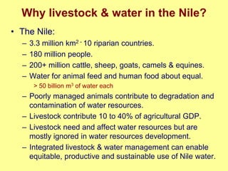 Nile Basin water productivity: Developing a shared vision for livestock production