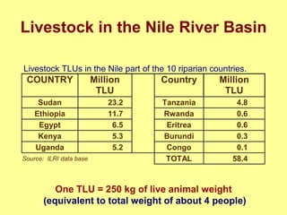Nile Basin water productivity: Developing a shared vision for livestock production