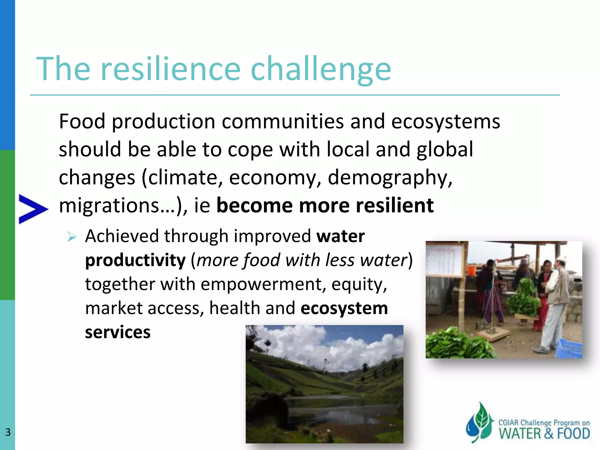 Alleviating hunger means reducing rural povertyReducing rural povertyIncrease the income of the rural poor to enable food security and investment into productivity