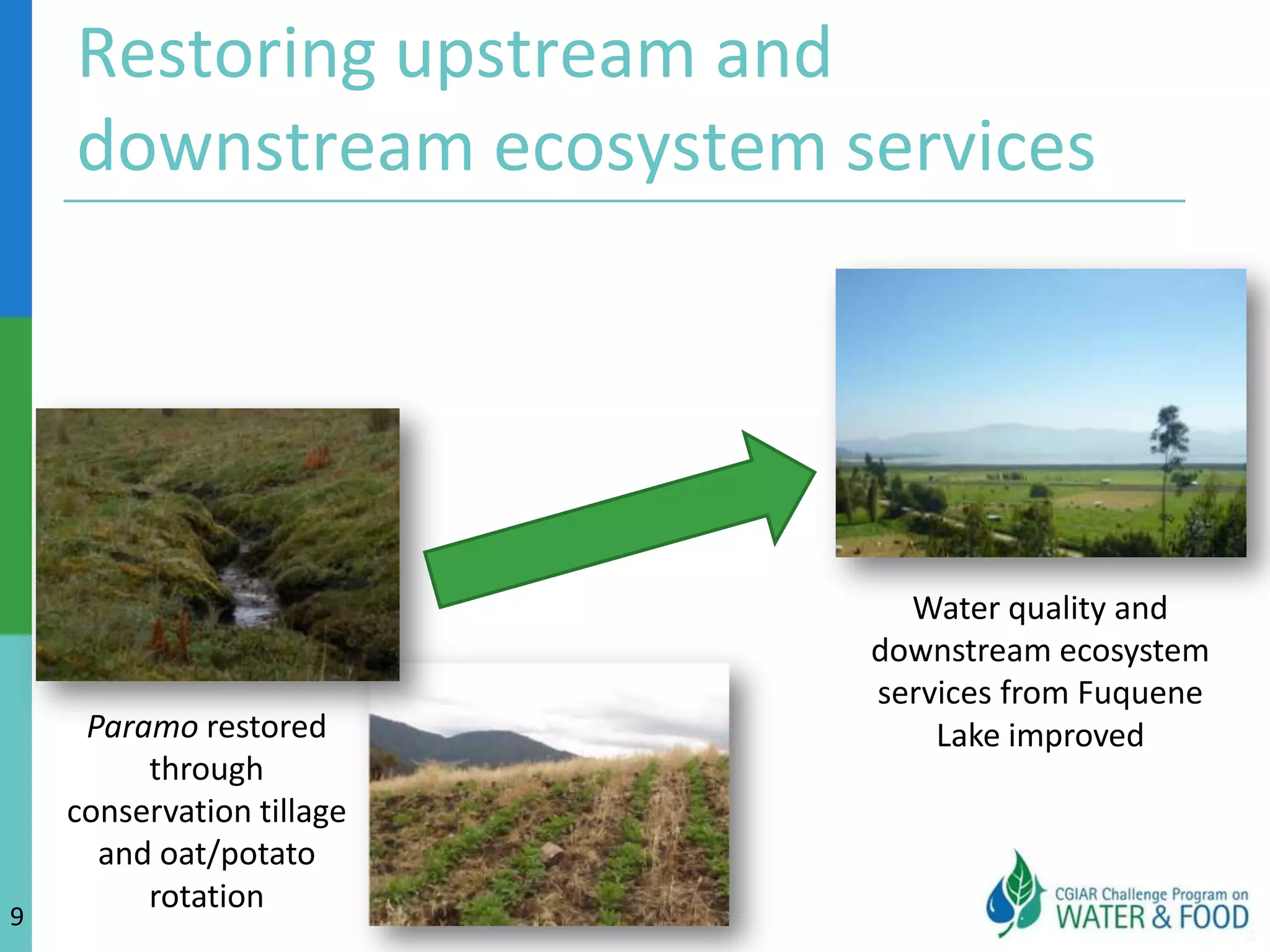 Productivity vs. resilienceRestoring ecosystem services in the Andes