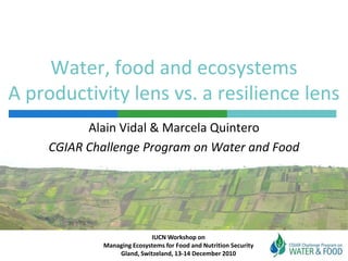 Water, food and ecosystemsA productivity lens vs. a resilience lens Alain Vidal & Marcela Quintero CGIAR Challenge Program on Water and Food IUCN Workshop on  Managing Ecosystems for Food and Nutrition Security Gland, Switzeland, 13-14 December 2010 