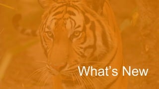 What’s New
 