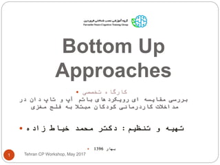 Bottom Up
Approaches
Tehran CP Workshop, May 20171
 ‫تخصصی‬ ‫کارگاه‬
‫در‬ ‫دان‬ ‫تاپ‬ ‫و‬ ‫آپ‬ ‫باتم‬ ‫رویکردهای‬ ‫ای‬ ‫مقایسه‬ ‫بررسی‬
‫مغزی‬ ‫فلج‬ ‫به‬ ‫مبتال‬ ‫کودکان‬ ‫کاردرمانی‬ ‫مداخالت‬
 ‫تنظیم‬ ‫و‬ ‫تهیه‬:‫زاده‬ ‫خیاط‬ ‫محمد‬ ‫دکتر‬
 ‫بهار‬1396
 