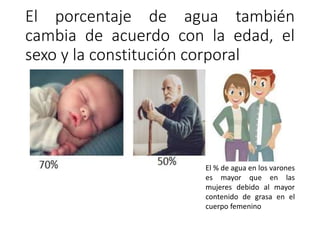El porcentaje de agua también
cambia de acuerdo con la edad, el
sexo y la constitución corporal
El % de agua en los varones
es mayor que en las
mujeres debido al mayor
contenido de grasa en el
cuerpo femenino
 
