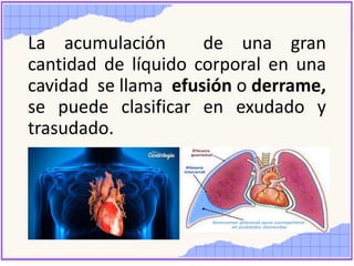 La acumulación de una gran
cantidad de líquido corporal en una
cavidad se llama efusión o derrame,
se puede clasificar en exudado y
trasudado.
 