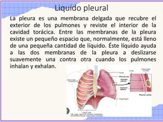 Liquido pleural
La pleura es una membrana delgada que recubre el
exterior de los pulmones y reviste el interior de la
cavidad torácica. Entre las membranas de la pleura
existe un pequeño espacio que, normalmente, está lleno
de una pequeña cantidad de líquido. Éste líquido ayuda
a las dos membranas de la pleura a deslizarse
suavemente una contra otra cuando los pulmones
inhalan y exhalan.
 