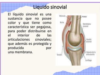 Liquido sinovial
El líquido sinovial es una
sustancia que no posee
color y que tiene como
característica ser pegajosa,
para poder distribuirse en
el interior de las
articulaciones sinoviales;
que además es protegida y
producida por
una membrana.
 