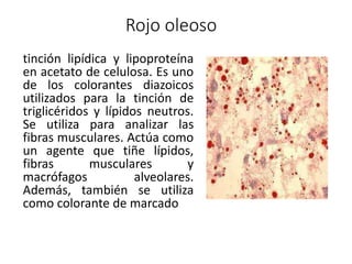 Rojo oleoso
tinción lipídica y lipoproteína
en acetato de celulosa. Es uno
de los colorantes diazoicos
utilizados para la tinción de
triglicéridos y lípidos neutros.
Se utiliza para analizar las
fibras musculares. Actúa como
un agente que tiñe lípidos,
fibras musculares y
macrófagos alveolares.
Además, también se utiliza
como colorante de marcado
 