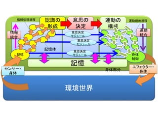 環境世界
認識の
形成
記憶
意思の
決定
身体
制御
エフェクター・
身体
運動の
構成
センサー・
身体
意思決定
モジュール
意思決定
モジュール
意思決定
モジュール
記憶体
情報処理過程 運動創出過程
身体部分
情報
統合
運動
統合
記憶
 