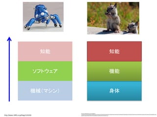 機械（マシン）
ソフトウェア
知能
身体
機能
知能
http://www.1999.co.jp/blog/1210192
http://ja.wallpapersma.com/wallpaper/_-
%E3%83%AA%E3%82%B9%E3%80%81%E5%A3%81%E7%B4%99%E3%80%81%E3%83%AF%E3%82%A4%E3%83%89%E3%82%B9%E3%82%AF%E3%83%AA%E3%83%BC%E3%83%B3%E3%81%AE%E3%80%81%E3%
83%9E%E3%83%83%E3%82%AF%E3%80%81%E3%83%9A%E3%83%83.html
 