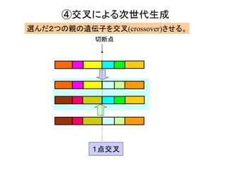 ④交叉による次世代生成
遺伝子
１点交叉
切断点
選んだ２つの親の遺伝子を交叉(crossover)させる。
 