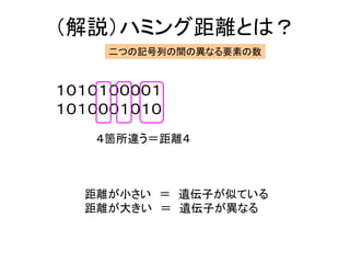 （解説）ハミング距離とは？
１０１０１００００１
１０１０００１０１０
４箇所違う＝距離４
二つの記号列の間の異なる要素の数
距離が小さい ＝ 遺伝子が似ている
距離が大きい ＝ 遺伝子が異なる
 