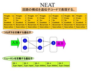 NEAT
回路の構成を遺伝子コードで表現する。
Weight: 1.2
From: 1
To: 3
Enabled: Y
Recurrent: N
Innovation: 1
Weight: -3
From: 1
To: 4
Enabled: Y
Recurrent: N
Innovation: 6
Weight: 0.7
From: 2
To: 4
Enabled: Y
Recurrent: N
Innovation: 2
Weight: -2.1
From: 3
To: 4
Enabled: Y
Recurrent: N
Innovation: 6
Weight: 1.1
From: 3
To: 5
Enabled: N
Recurrent: N
Innovation: 3
Weight: 0.8
From: 4
To: 5
Enabled: Y
Recurrent: N
Innovation: 4
Weight: -1
From: 5
To: 3
Enabled: Y
Recurrent: Y
Innovation: 7
ID: 1
Type: Input
ID: 2
Type: Input
ID: 3
Type: hidden
ID: 4
Type: hidden
ID: 5
Type: Output
2
1
4
3
5
つなぎ方を定義する遺伝子
ニューロンを定義する遺伝子
入力 出力
 