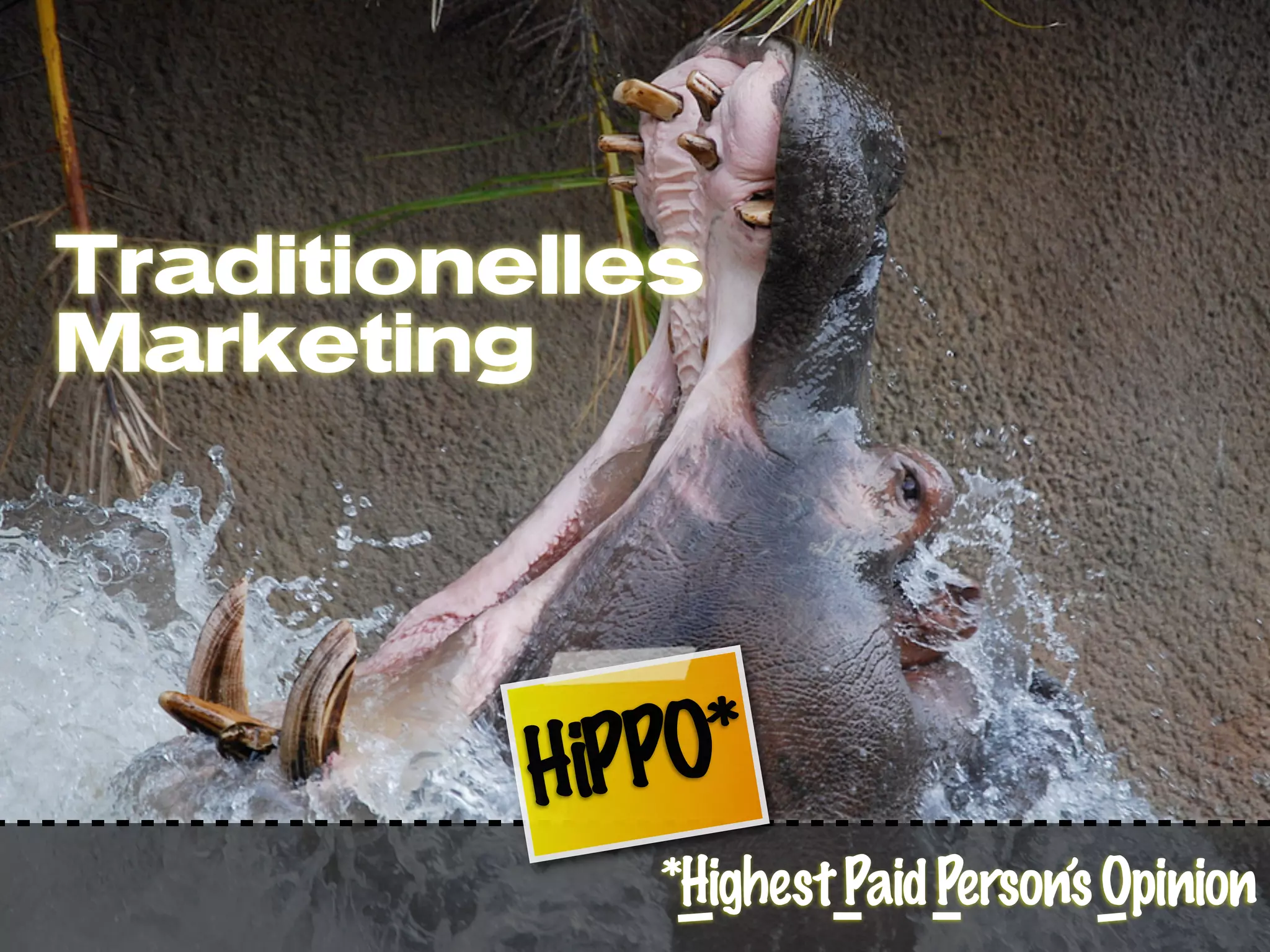 Traditionelles
Marketing




          HiPPO*
             *Highest Paid Person’s Opinion
 