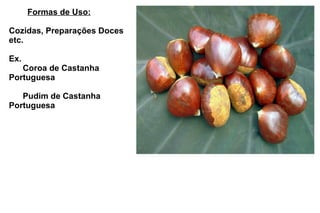 Formas de Uso: Cozidas, Preparações Doces etc. Ex.   Coroa de Castanha Portuguesa   Pudim de Castanha Portuguesa 