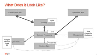 What Does it Look Like?
9
Clients (Apps, etc) Customers’ APIs
Routing
Message Processing
Runtime Data
Analytics Data
Management
 